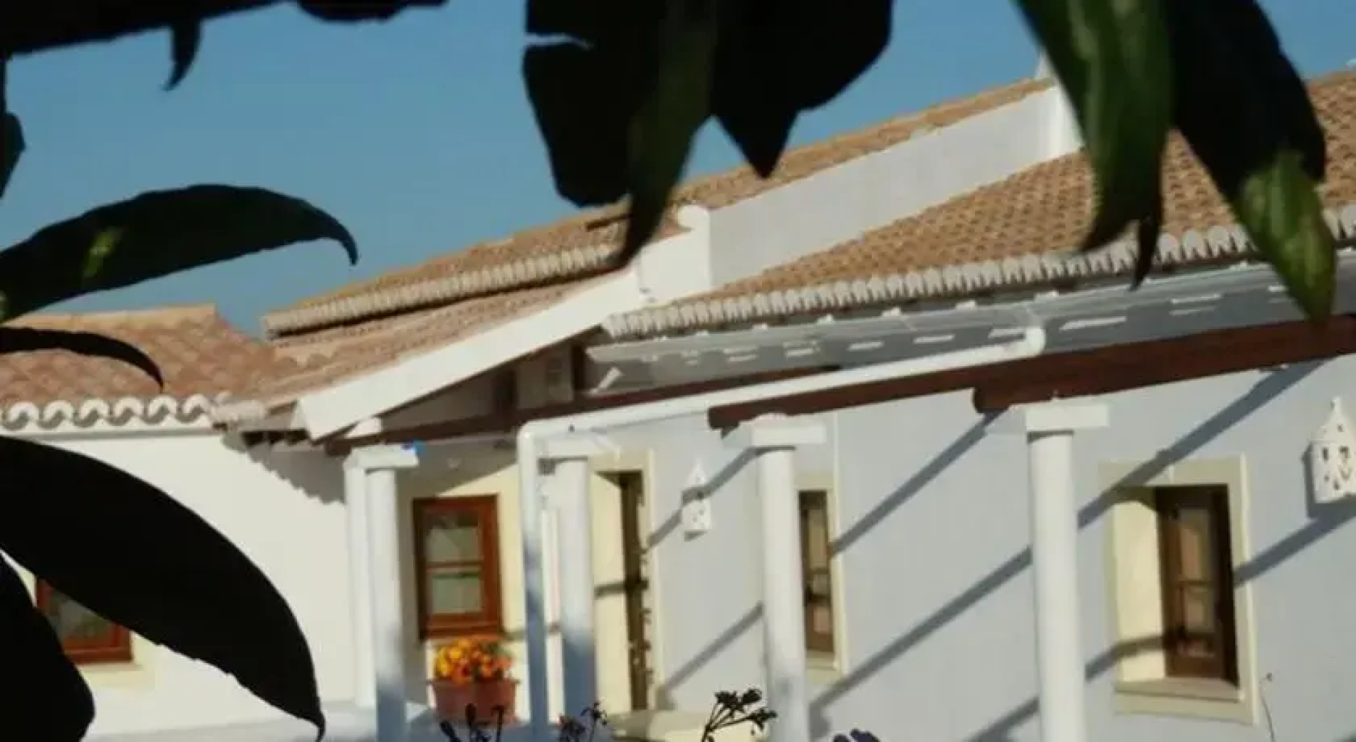 Quinta Isajo