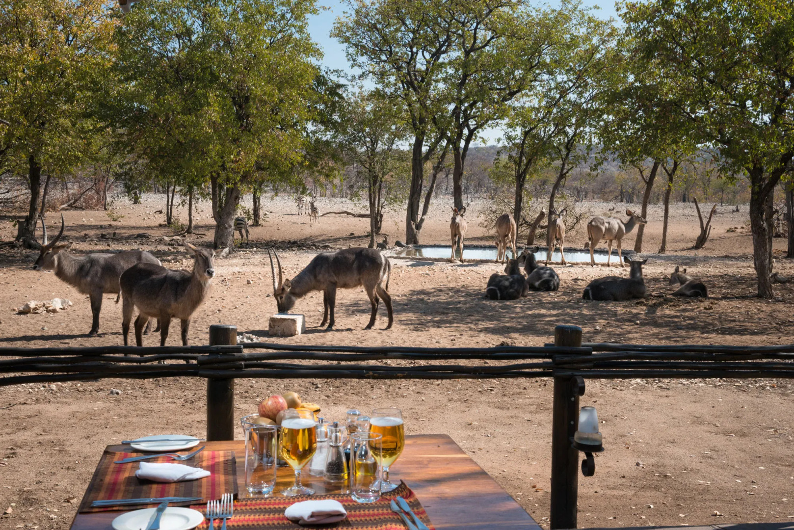 Ongava Tented Camp - All-Inclusive
