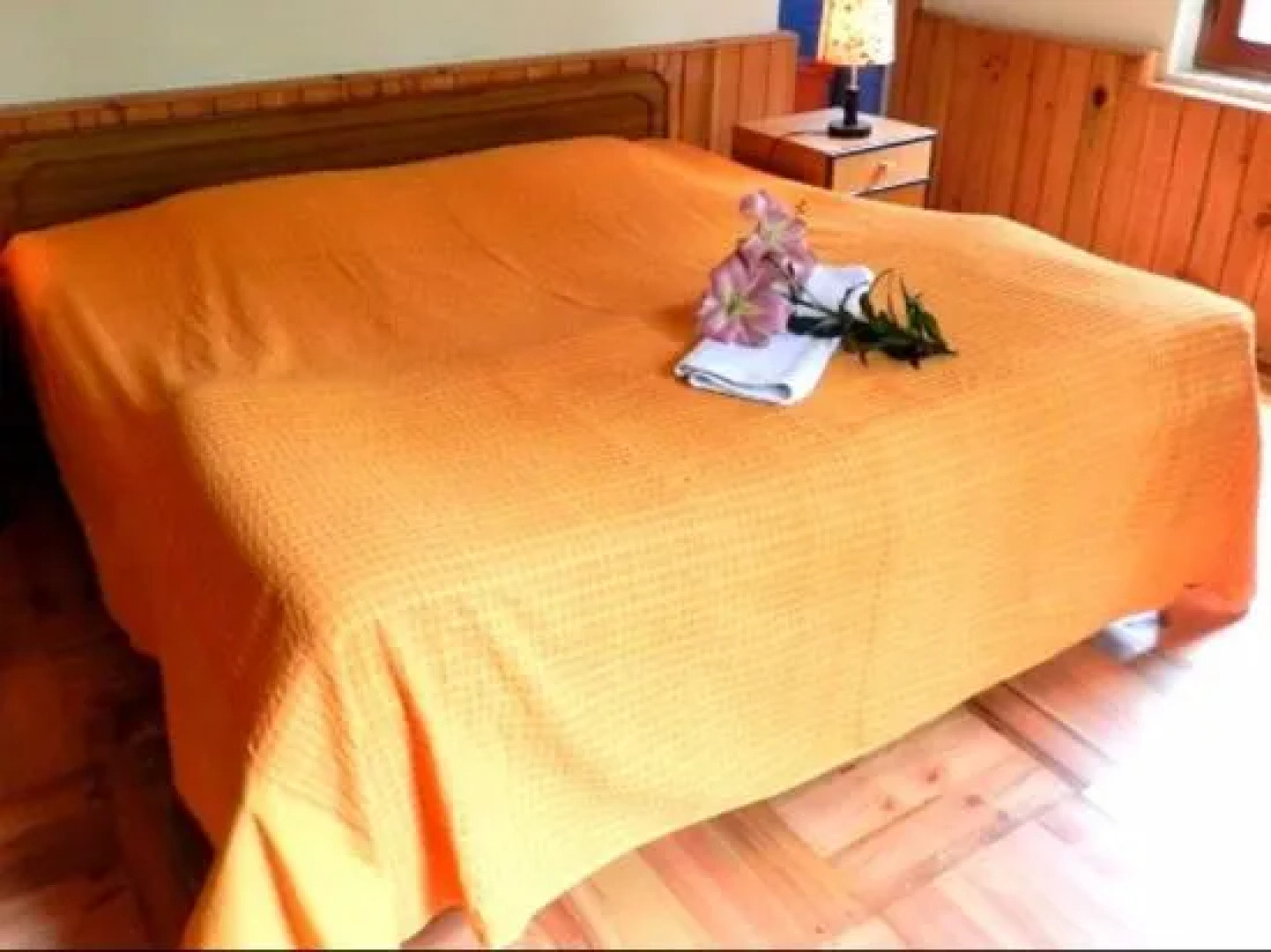 Manali Treehouse Cottages