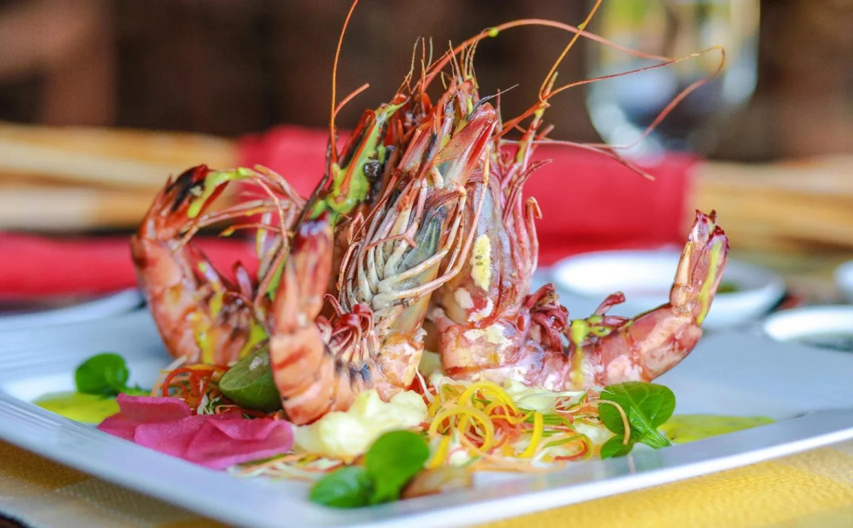 Camellia Resort and Spa