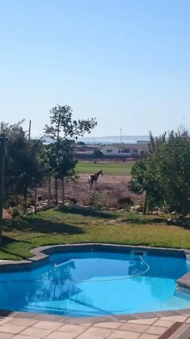 Golfer's Retreat