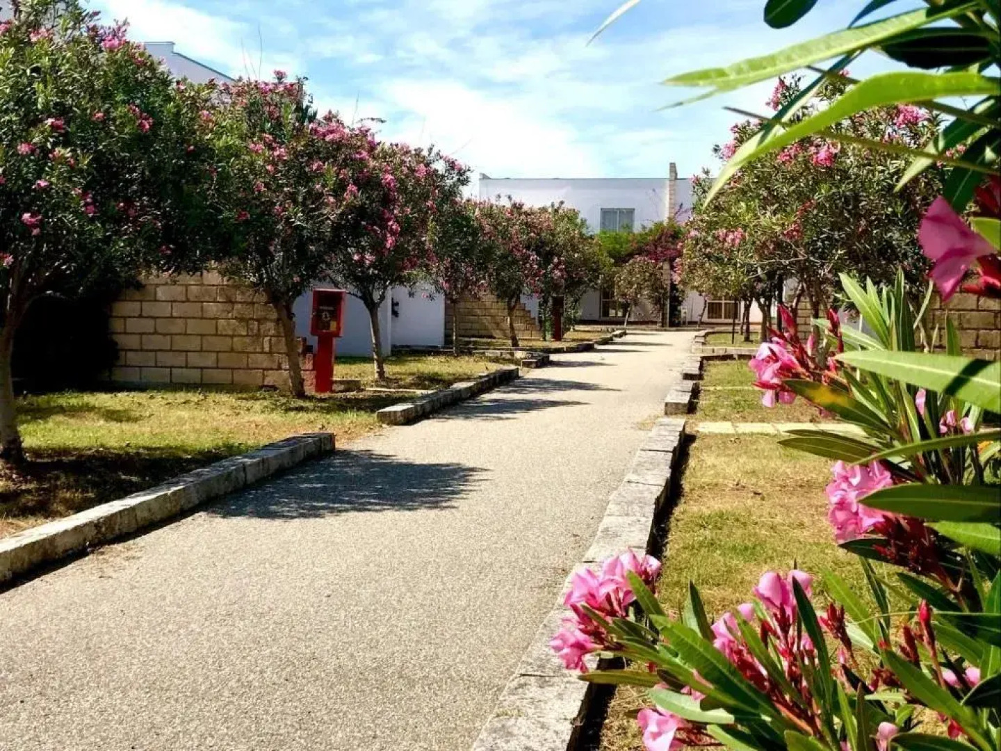 Nyce Club Sunbeach Resort