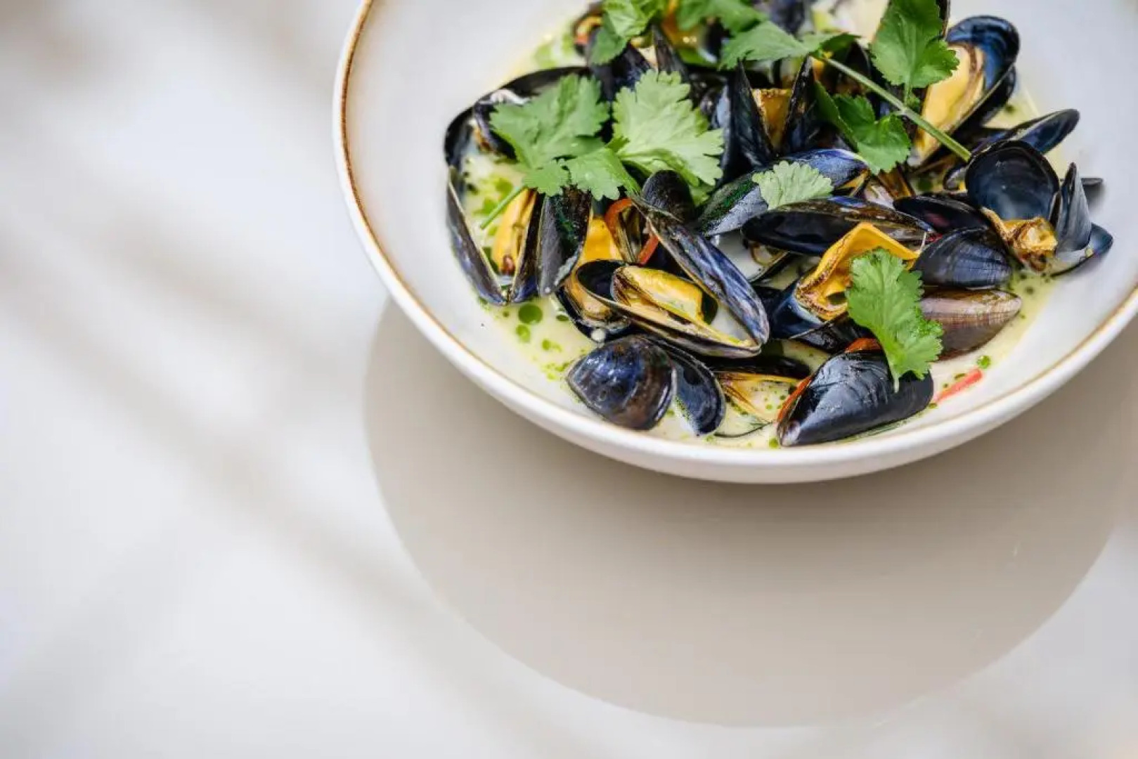 Yalo Urban Boutique Hotel Ghent