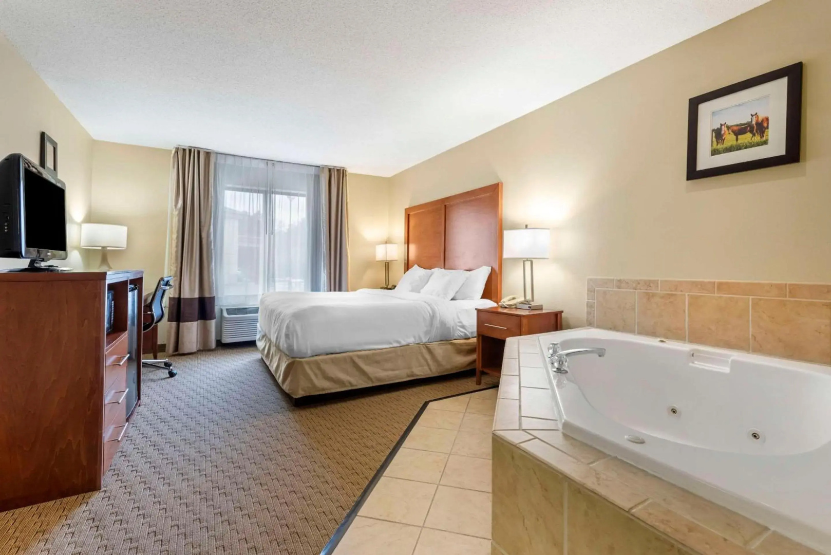 Comfort Inn & Suites