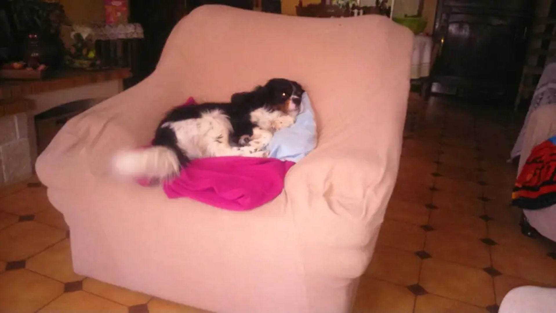 House With 3 Bedrooms in Marennes, With Enclosed Garden and Wifi - 200