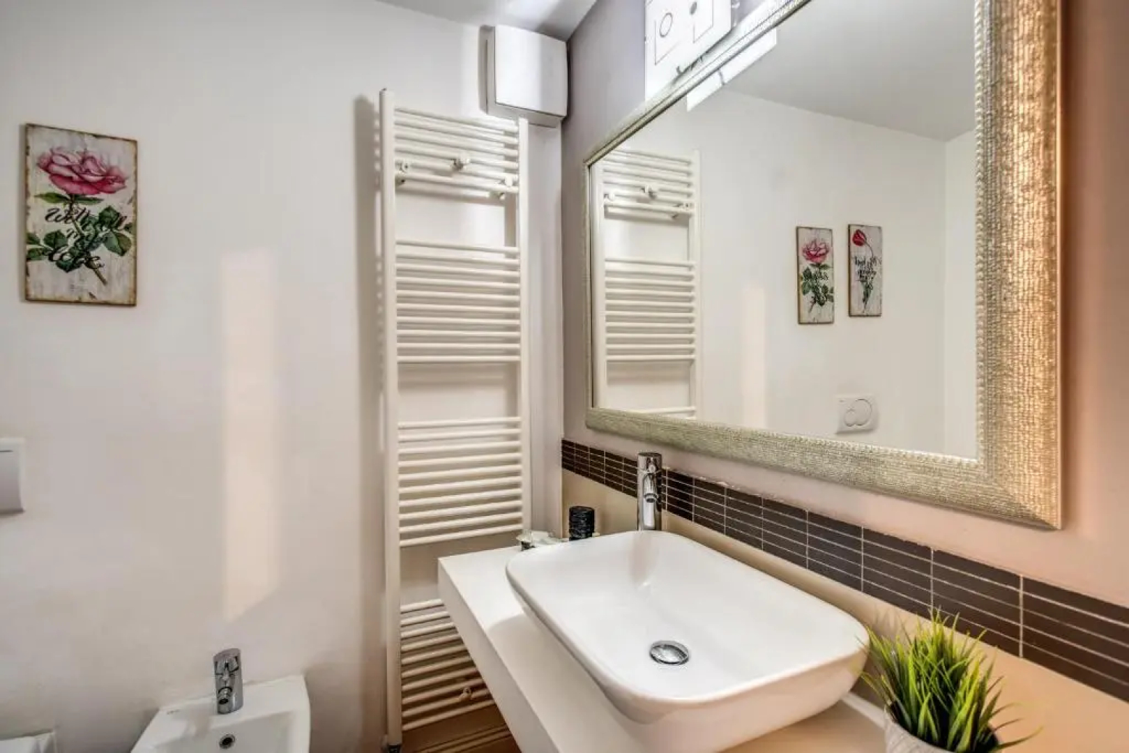 trastevere miracle suite