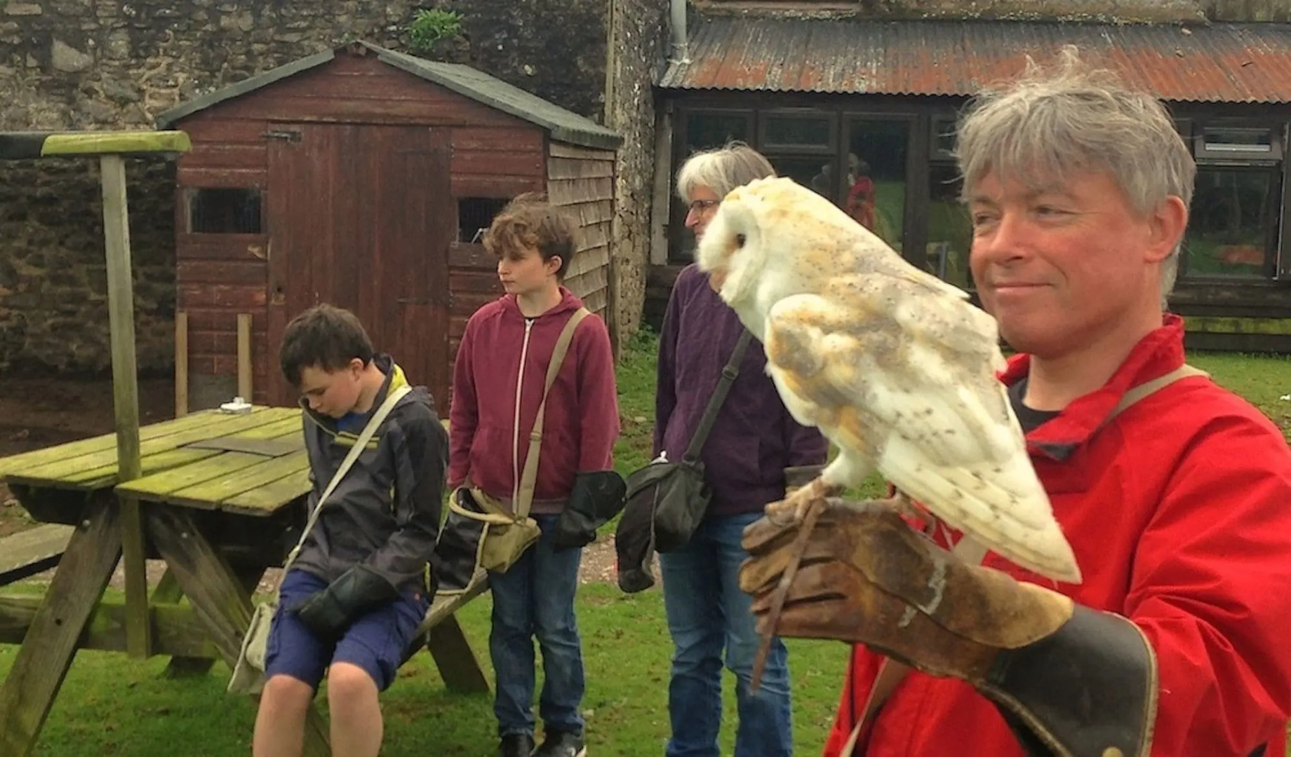 Exmoor Owl & Hawk Centre