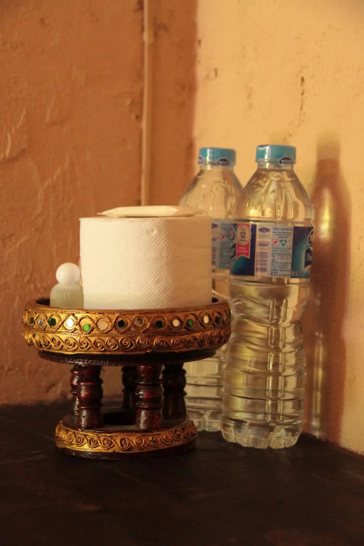 Purple Monkey Backpackers