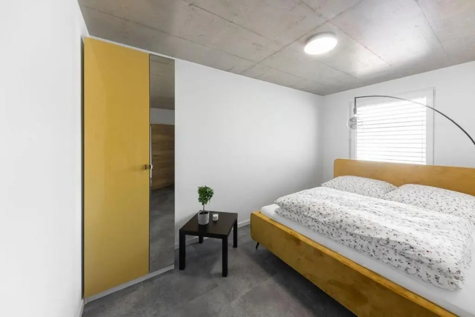 Marley & Me Apartments