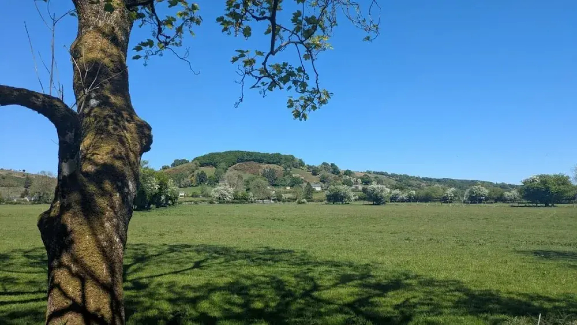 Tranquil Cabin Retreat- Sleeps 2, Parking