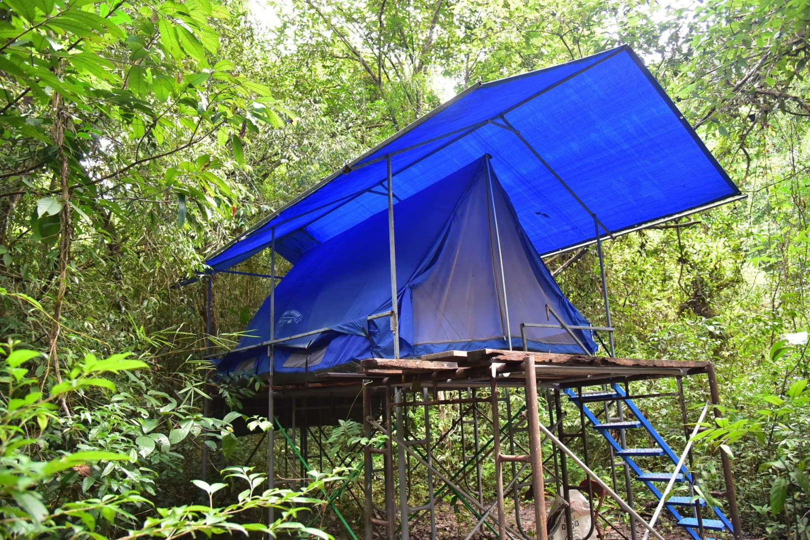 Wichai's Jungle Home Stay