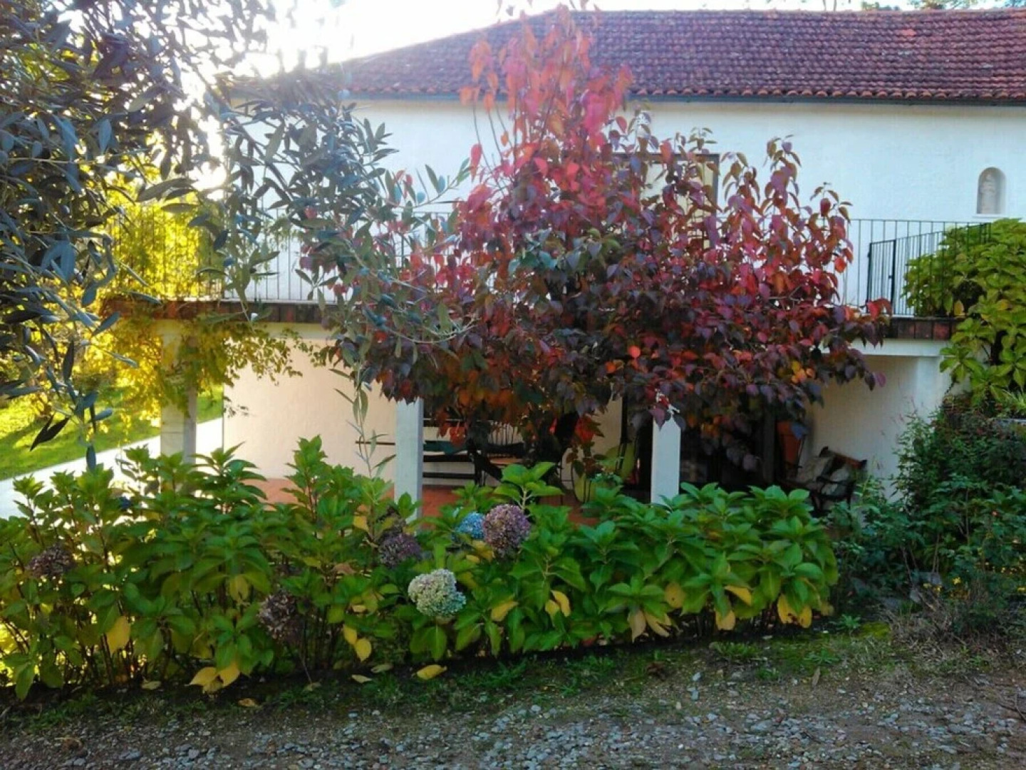 Casa com Piscina Barcelos, Izibookings