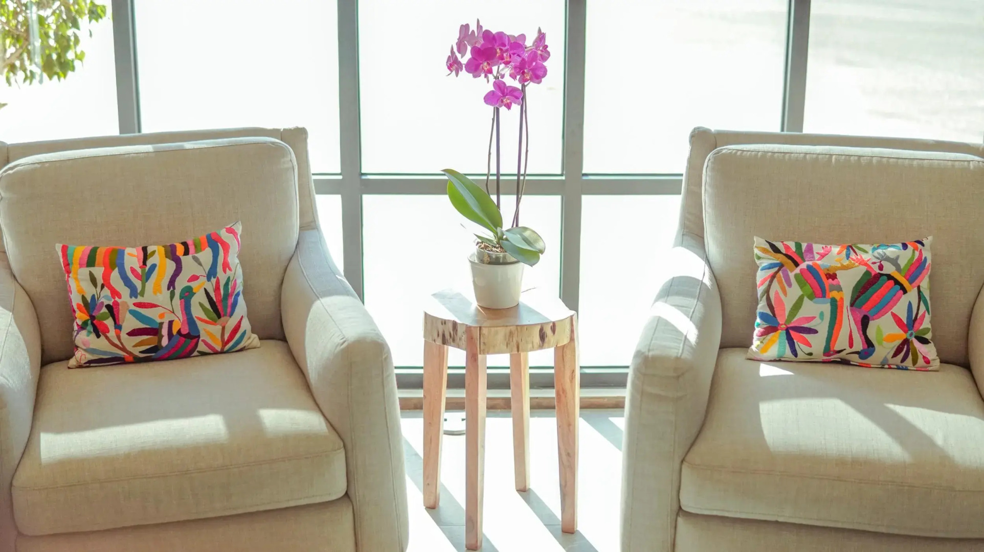 Отель Posada El Rey Sol