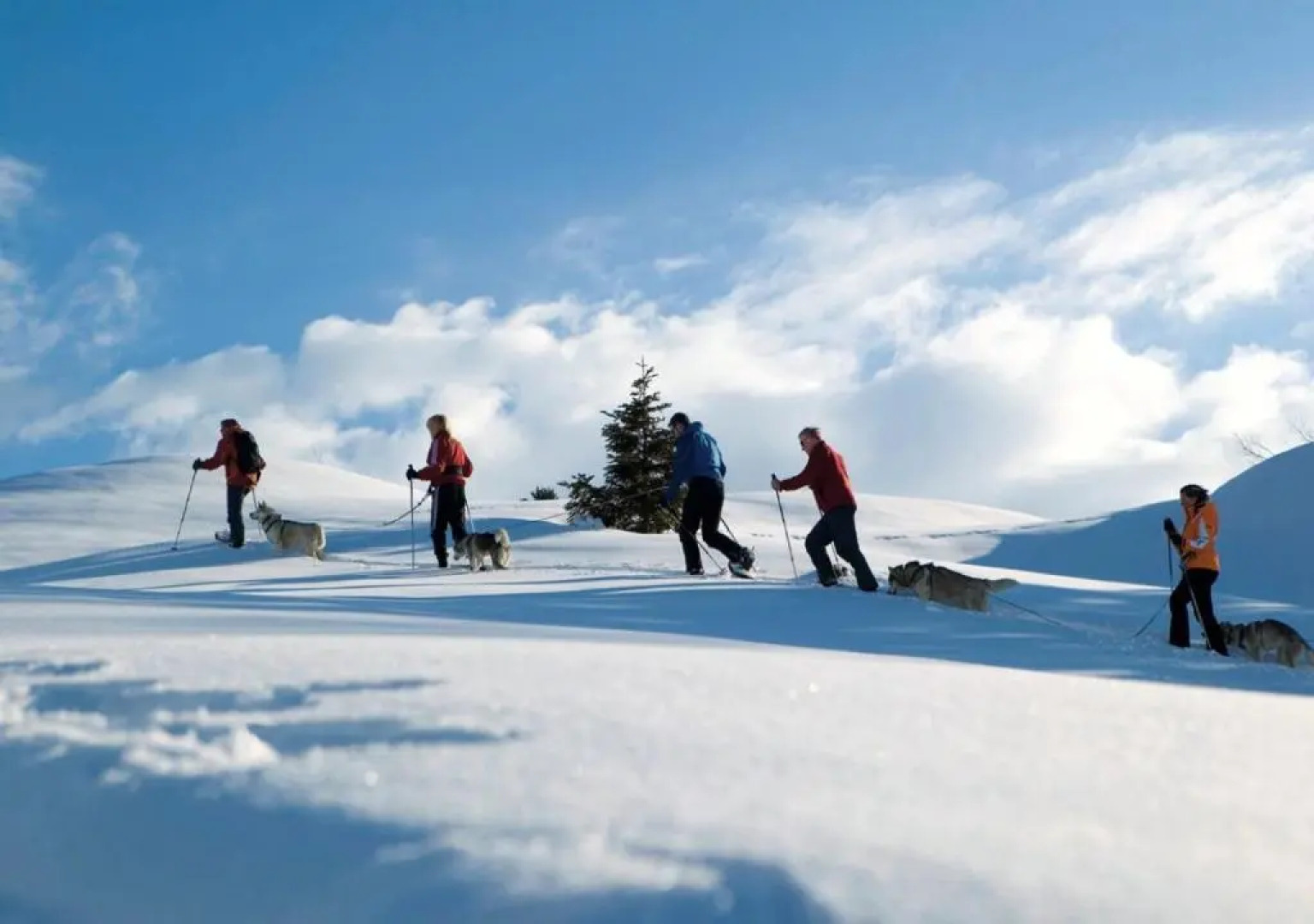 Lechblick Appartement