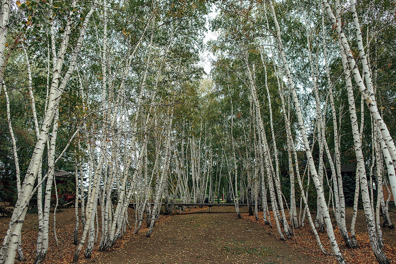 Заимка (Димитровский)