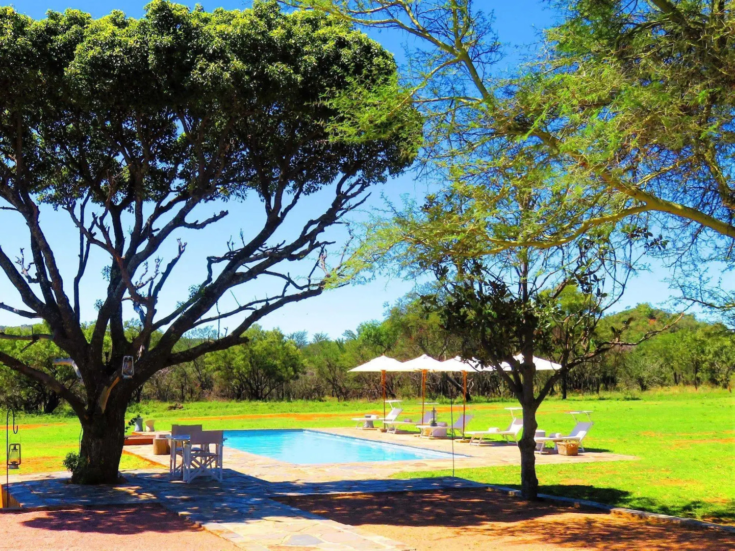 Zebras Crossing Lodge