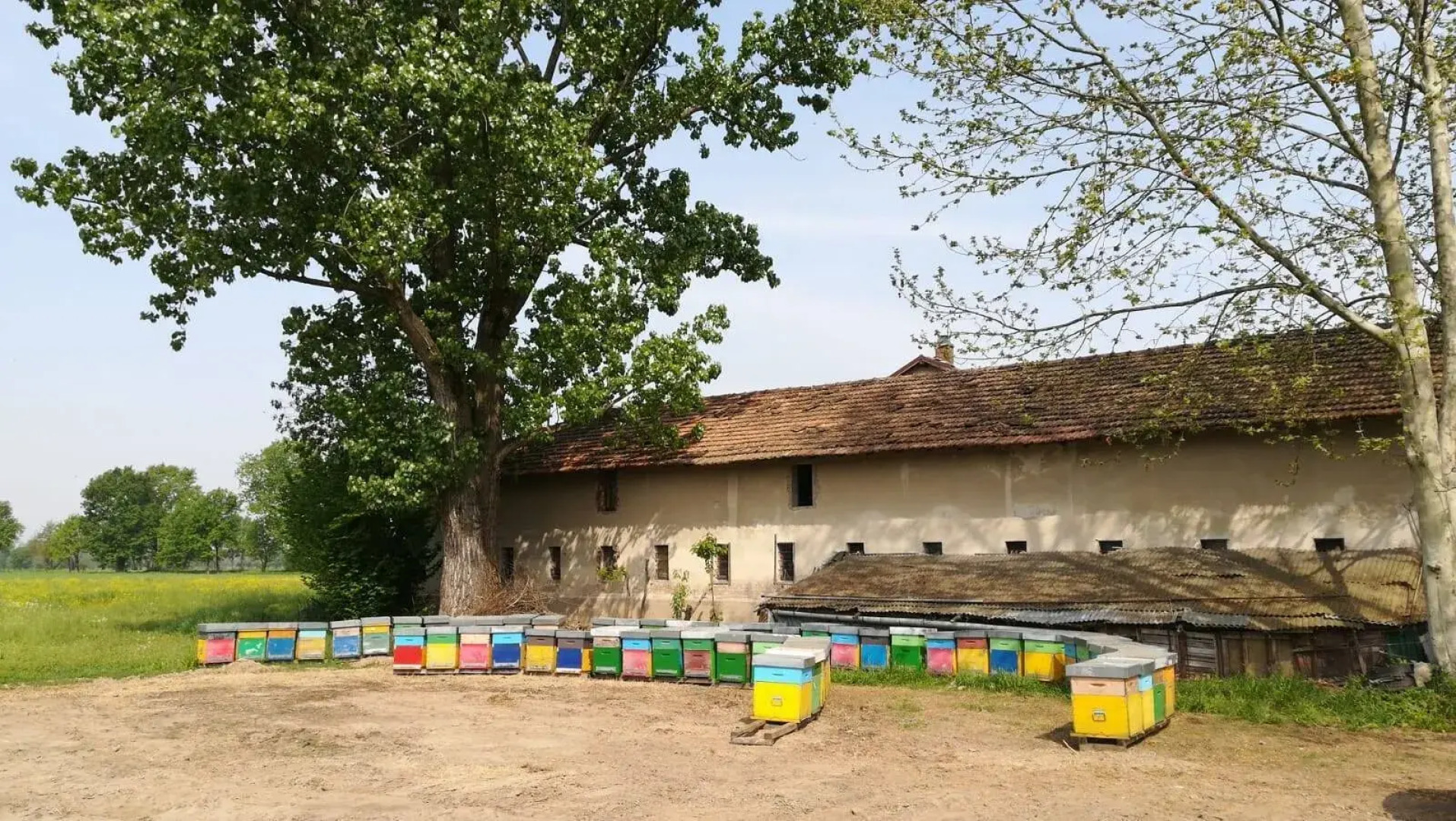 Agriturismo La Biandrina