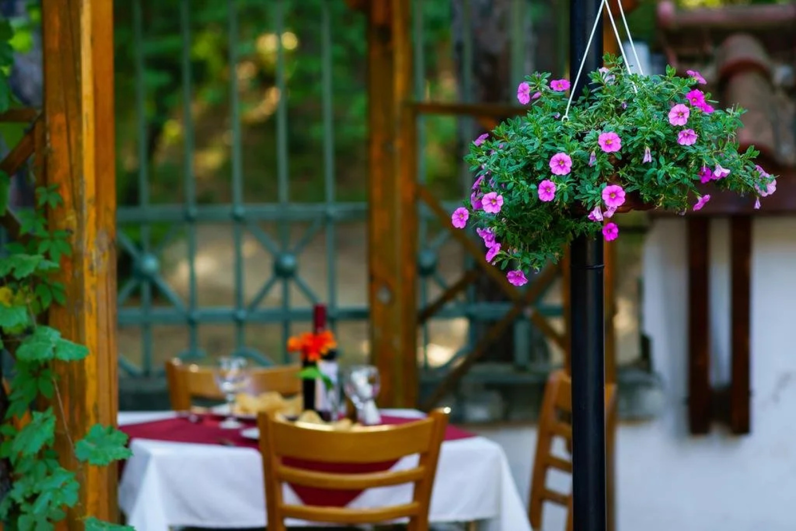 Guest House Cheshmeto