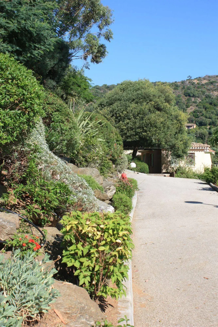 Domaine De La Pinede
