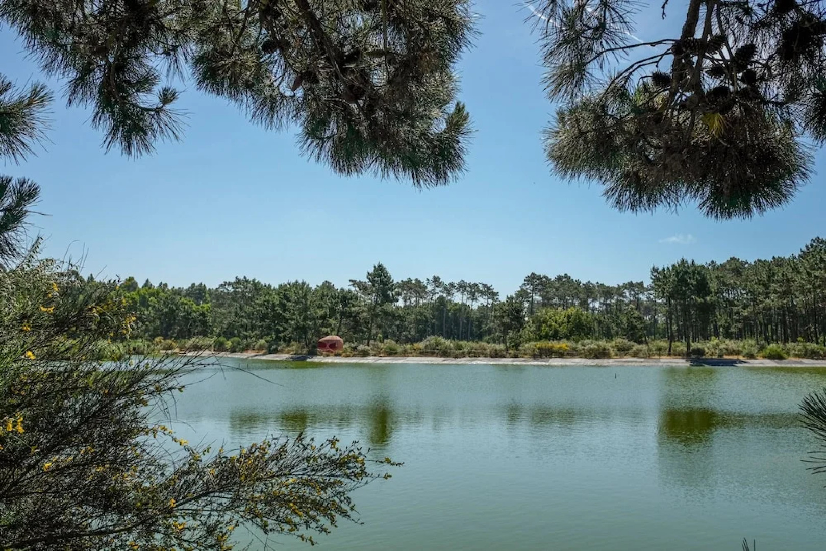 Esmoriz Land Sea View Apartment by MP