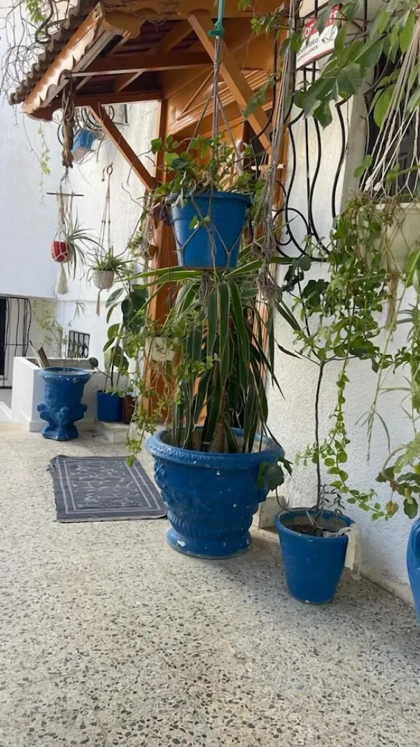 Casa Zitouna- Guest House - Kef, Tunisia