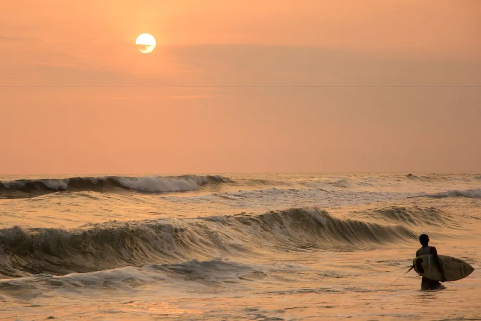 The Driftwood Surfer