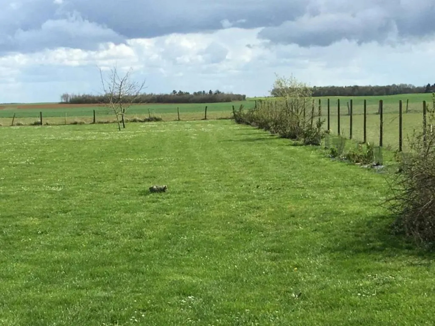Gîte Beauce la Romaine, 6 pièces, 12 personnes - FR-1-491-94