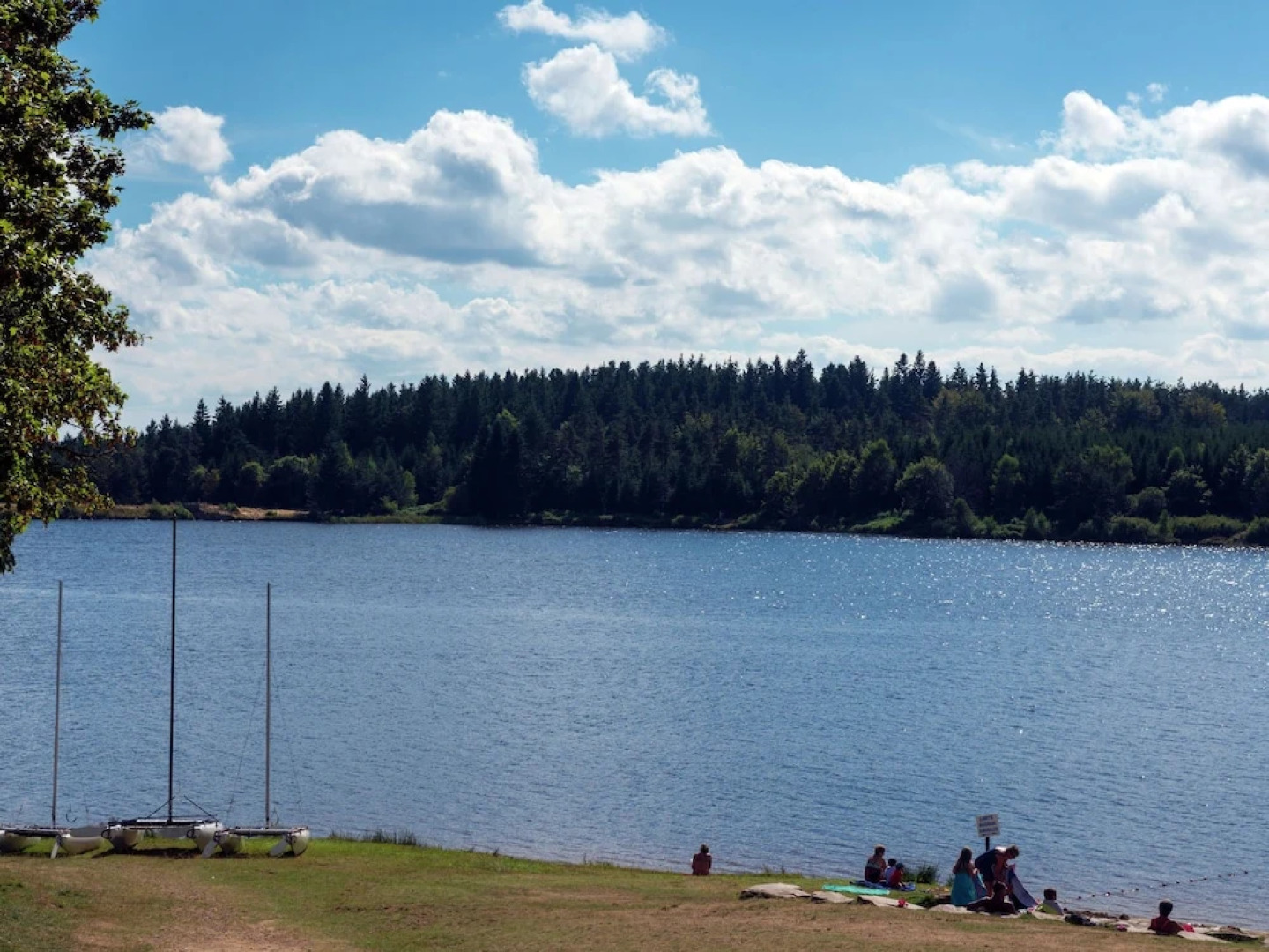 Beautiful Stone Farmhouse in Mountain Forest Setting