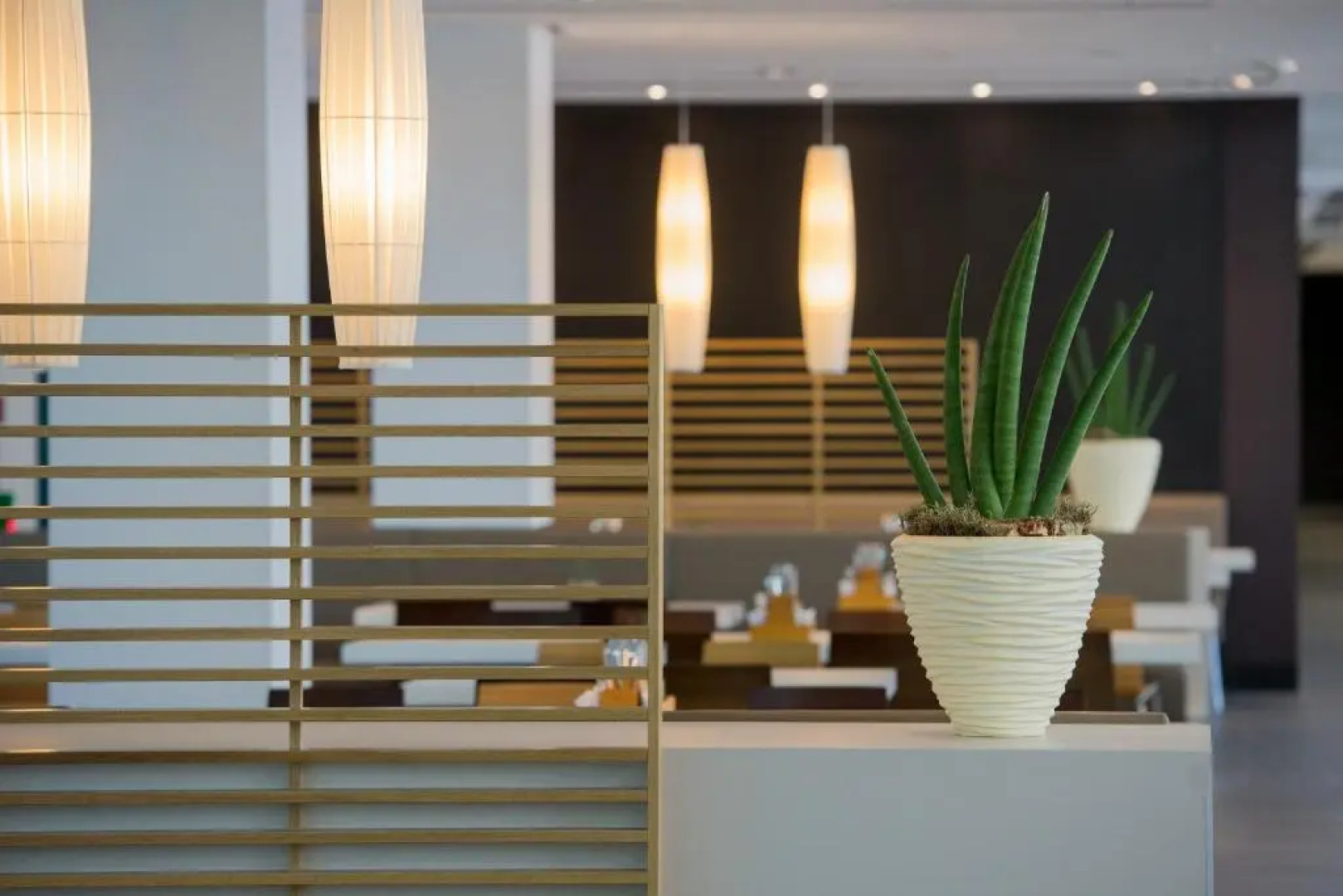 Lufthansa Seeheim - More than a Conference Hotel