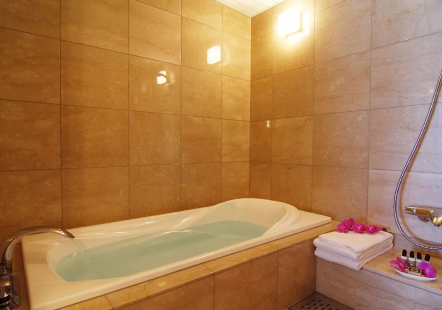 Maihama View Hotel by HULIC