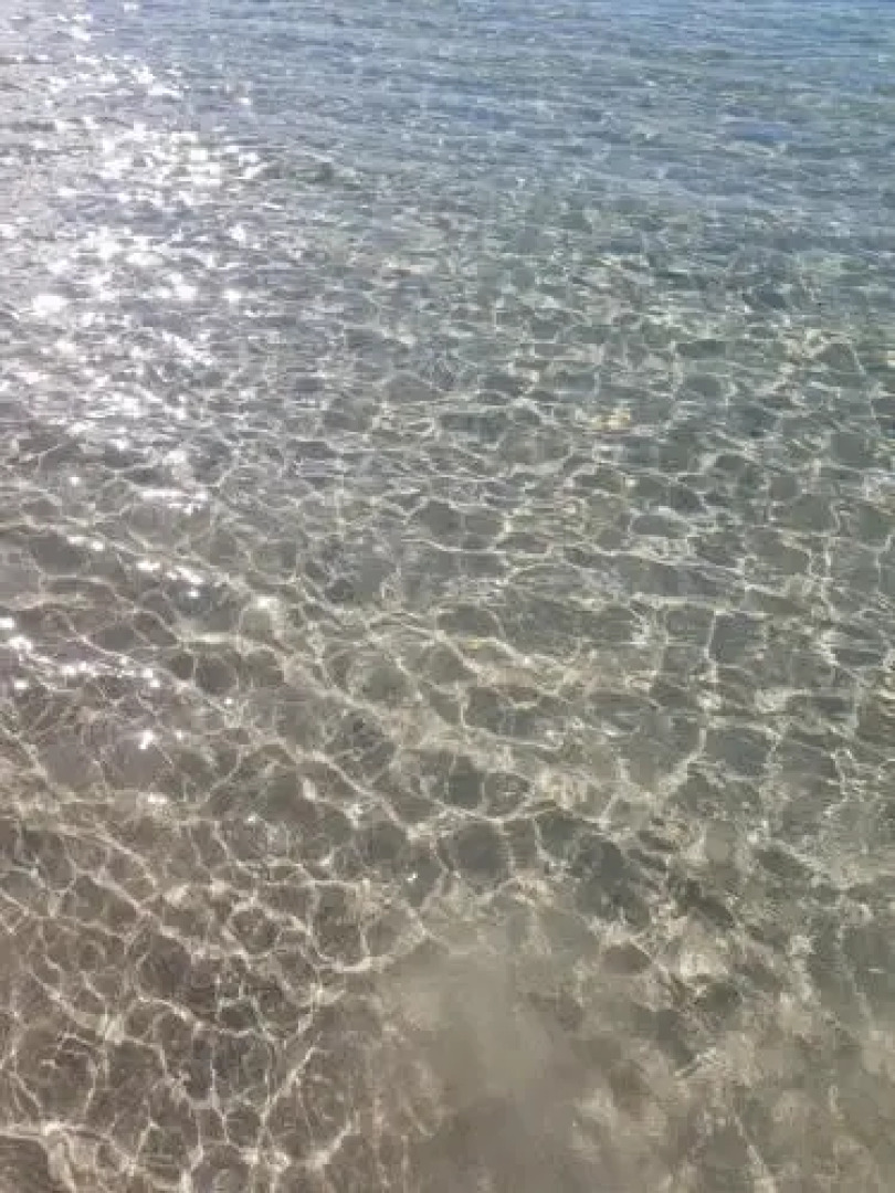 Escape on Excellence