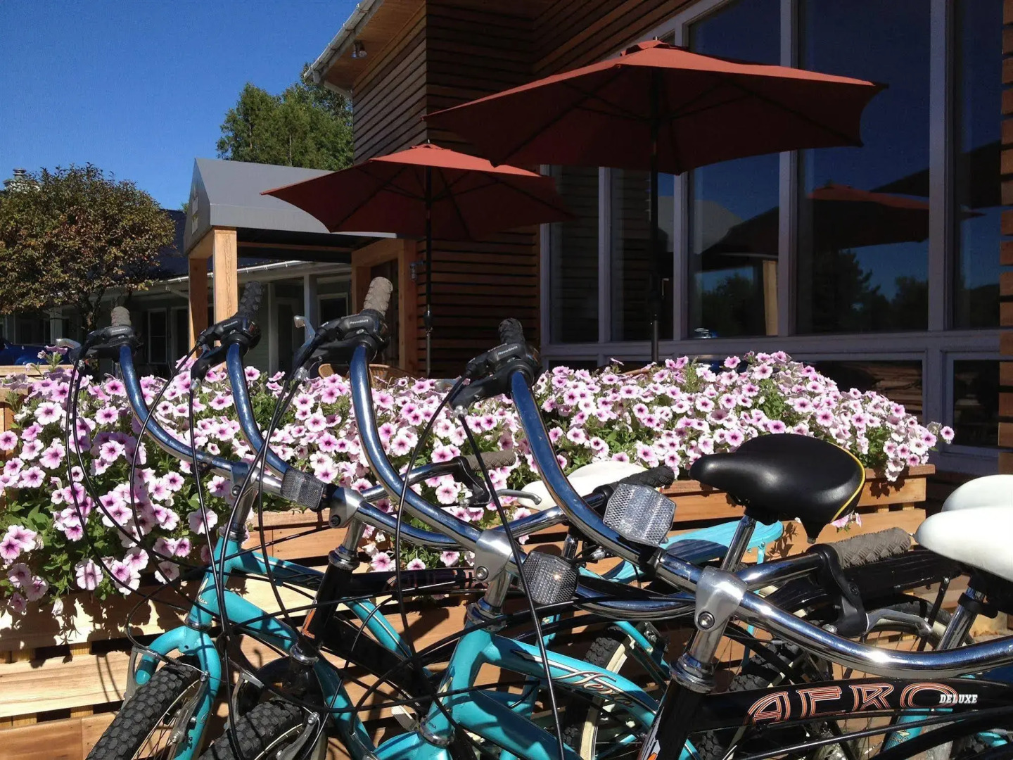 Mountain Road Resort