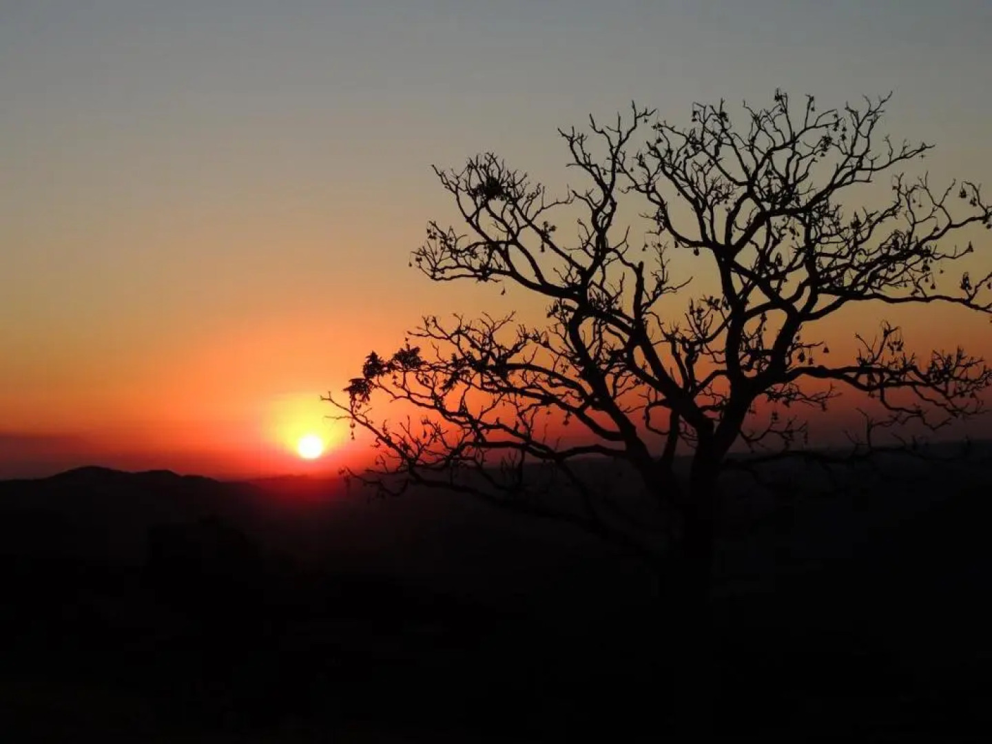 Hotel Novo Horizonte - By UP Hotel