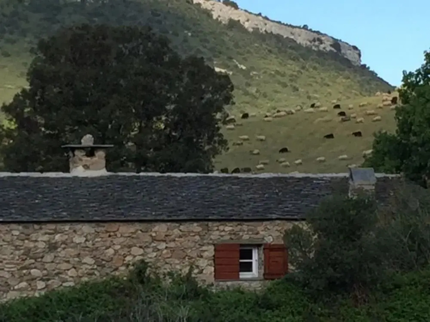 Apartment With one Bedroom in Patrimonio, With Wonderful Mountain View and Furnished Terrace - 2 km From the Beach