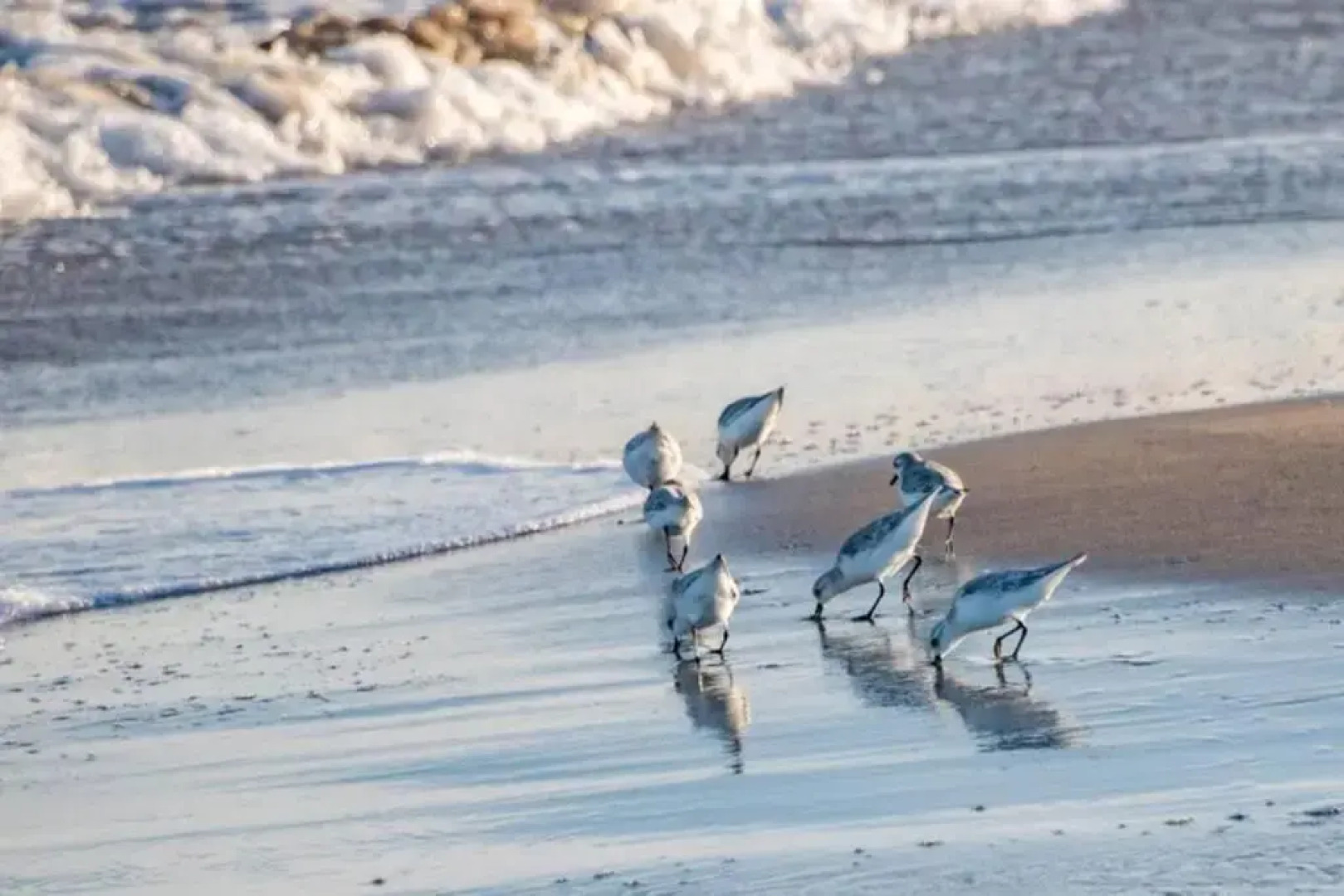 Apartamento PEPA. En el corazón del Delta.