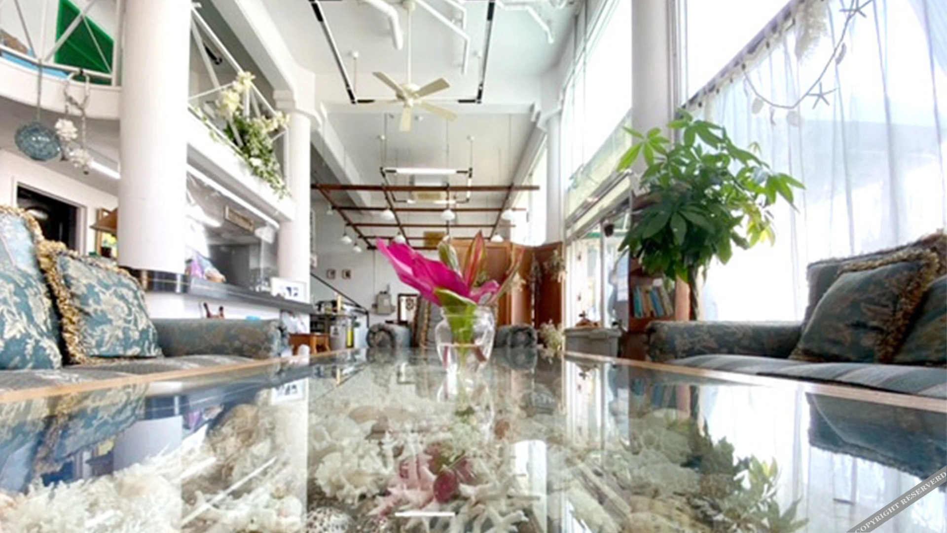 Marin House IE Island