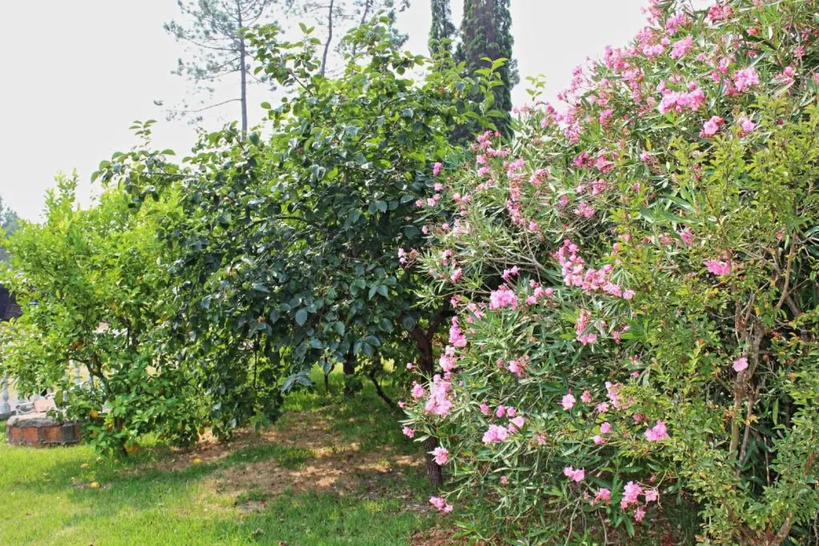 Residencial Pinho Verde