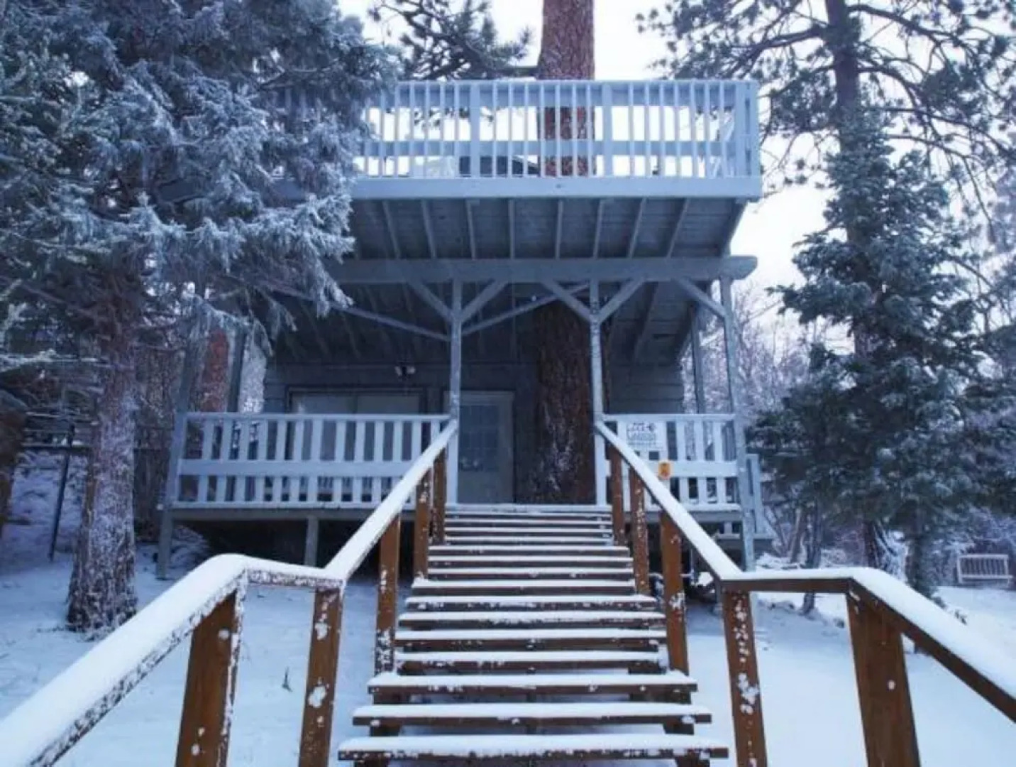 RedAwning Tree House