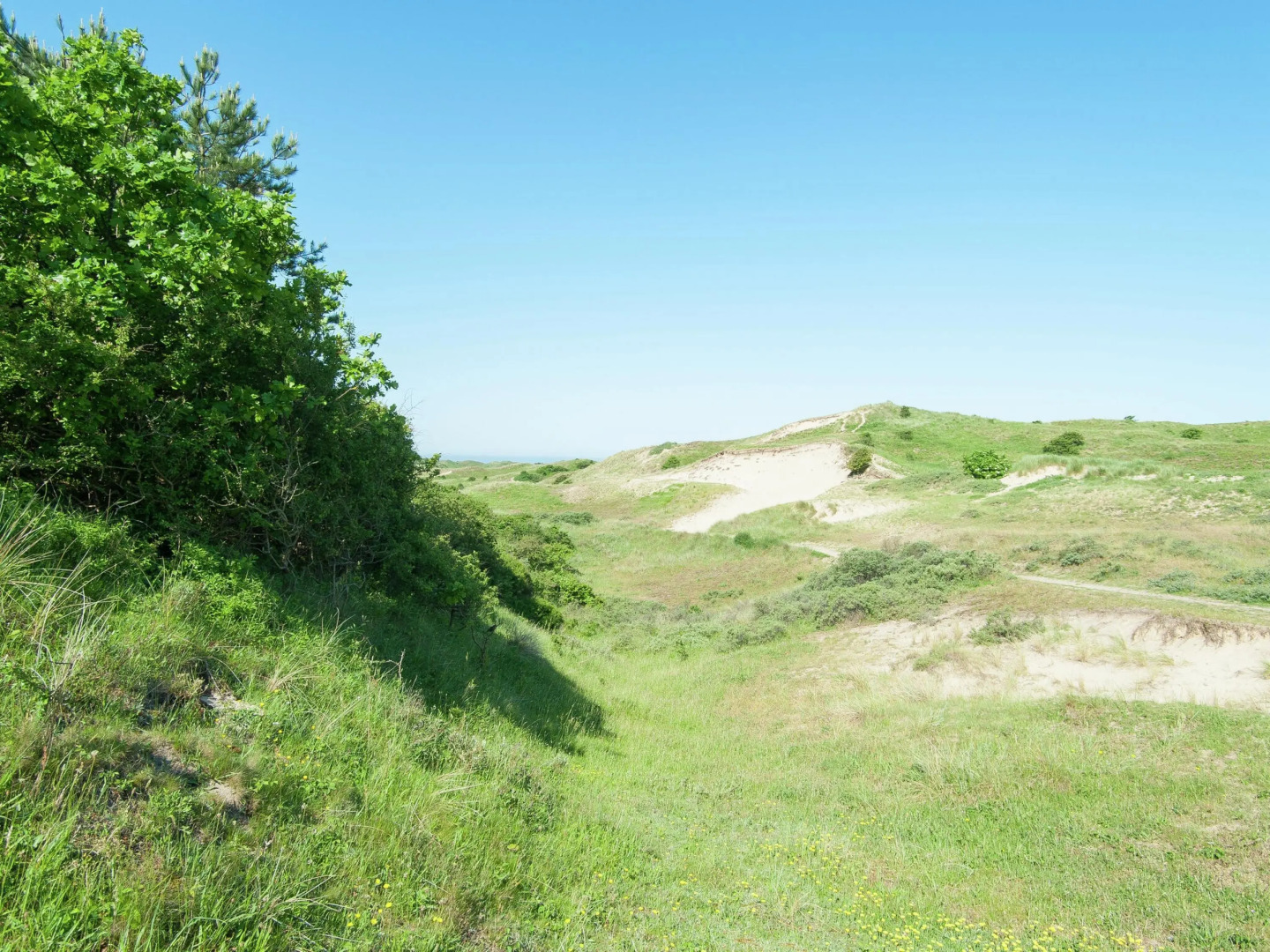 Bloemendaal Beach Escape