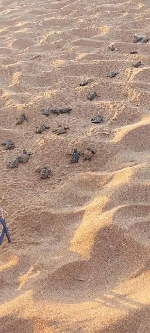 MARIA Cozy apartment 30m from the sea