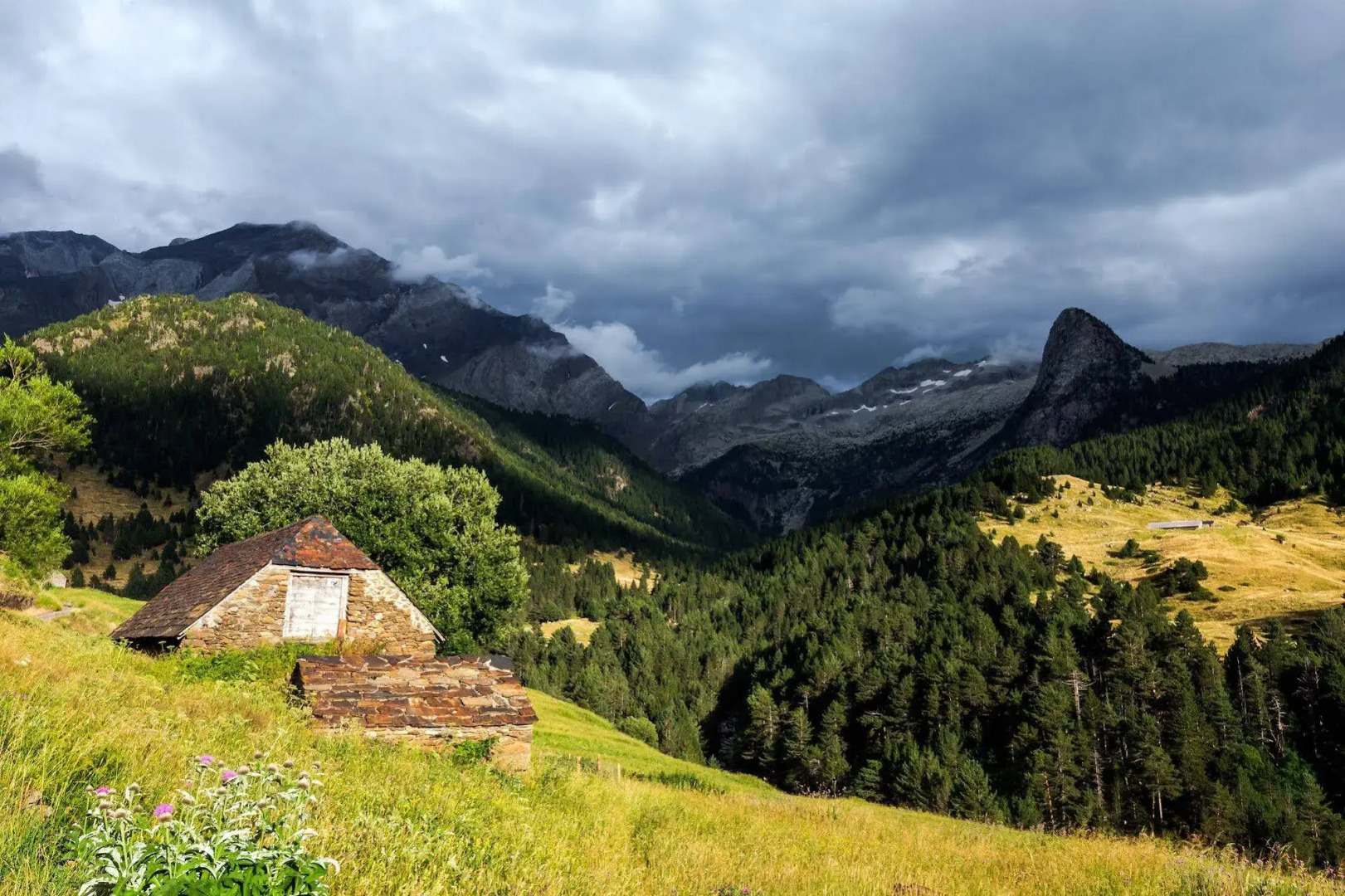 Apartamentos Villa de Plan