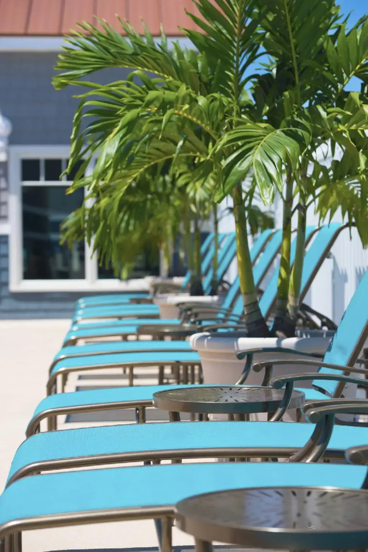 Отель Bethany Beach Ocean Suites Residence Inn by Marriott