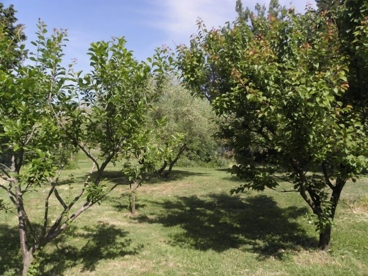 Provence Roulottes Hébergement insolite