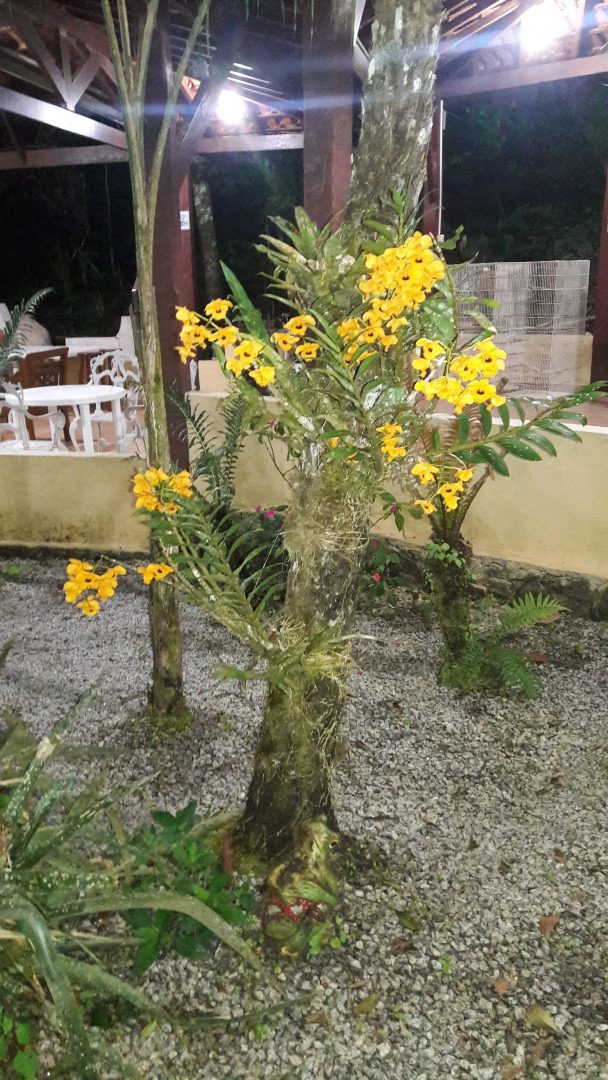 Pousada Recanto dos Tangaras