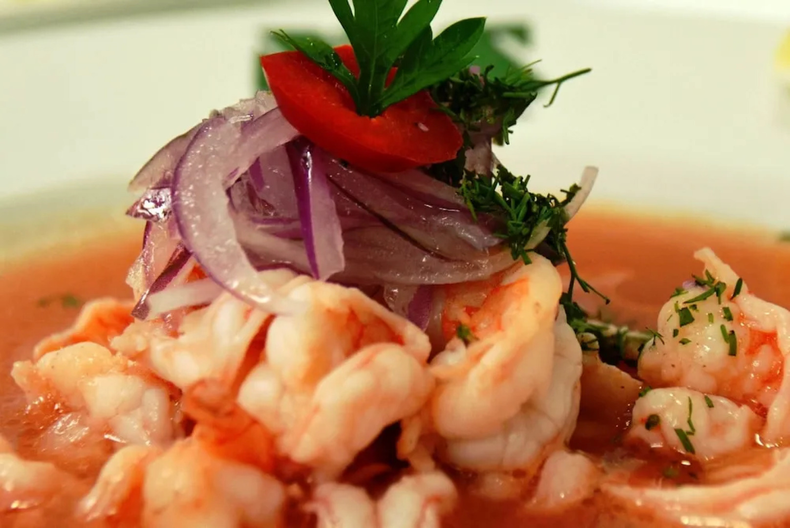 Ecopark Hotel Puyo Amazonia Ecuador