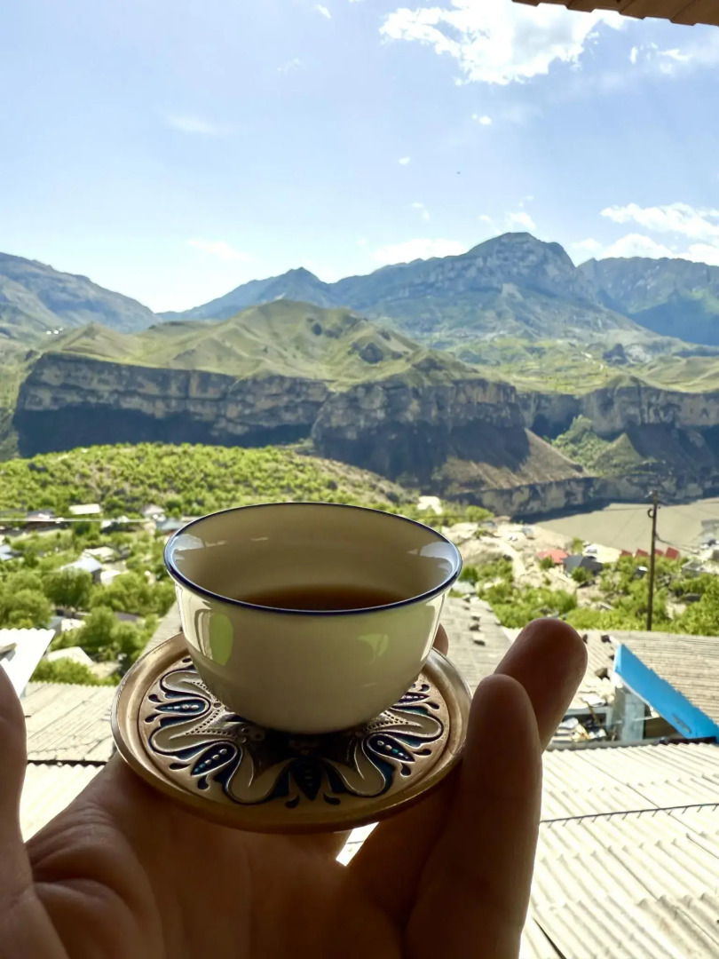 Родное гнездо