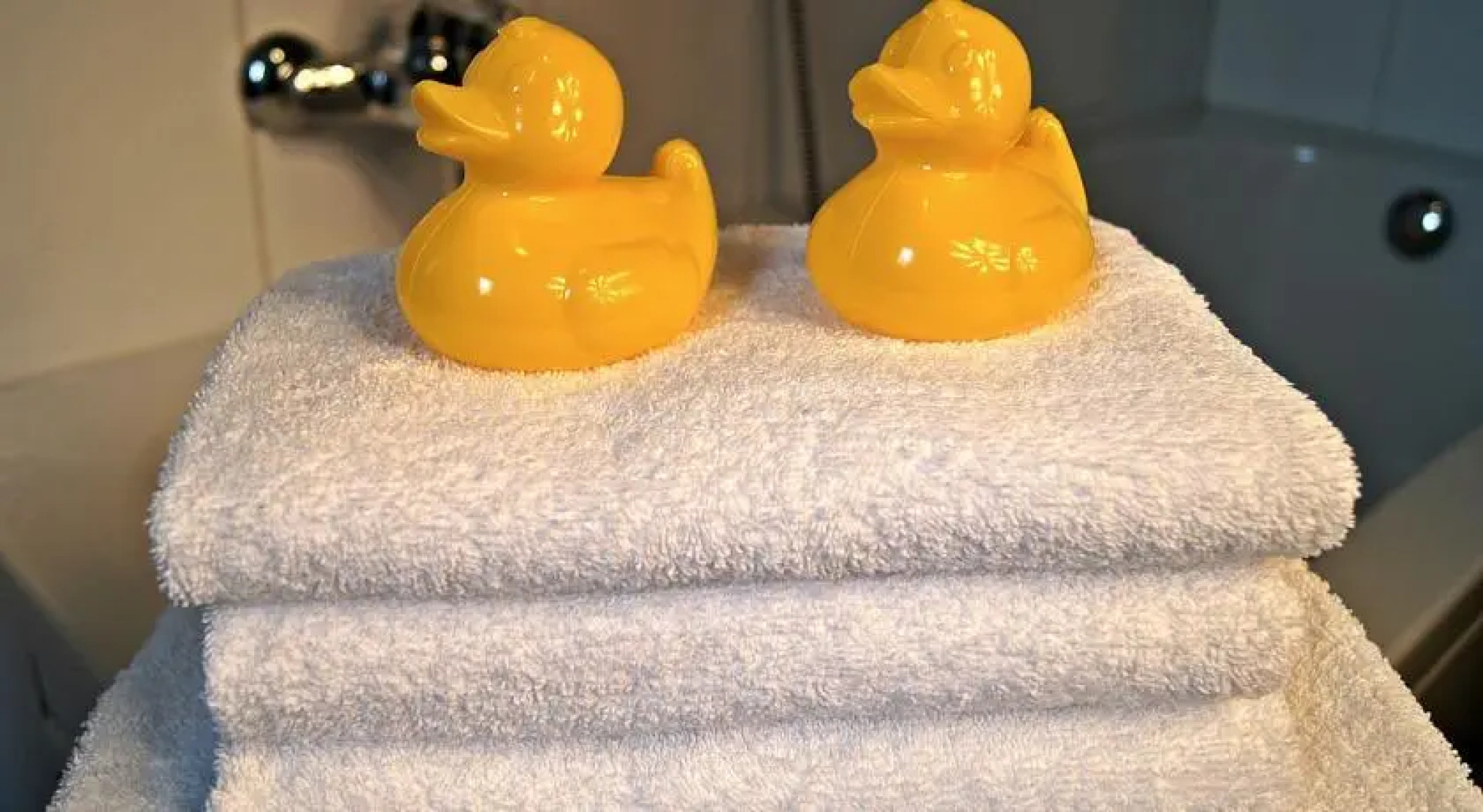 Winterberg Appartement 21076