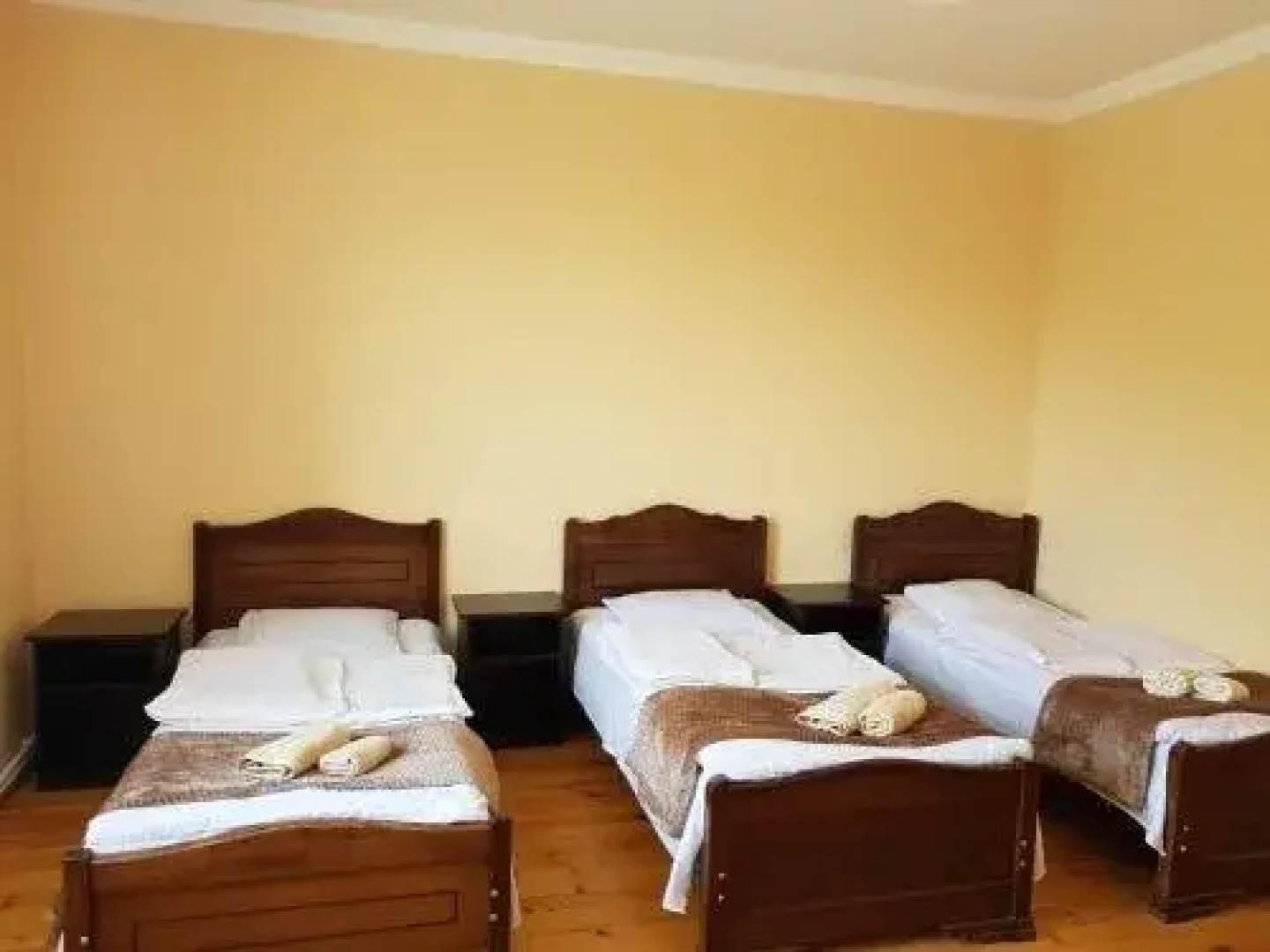 Tsitsia and Stepan Guest House