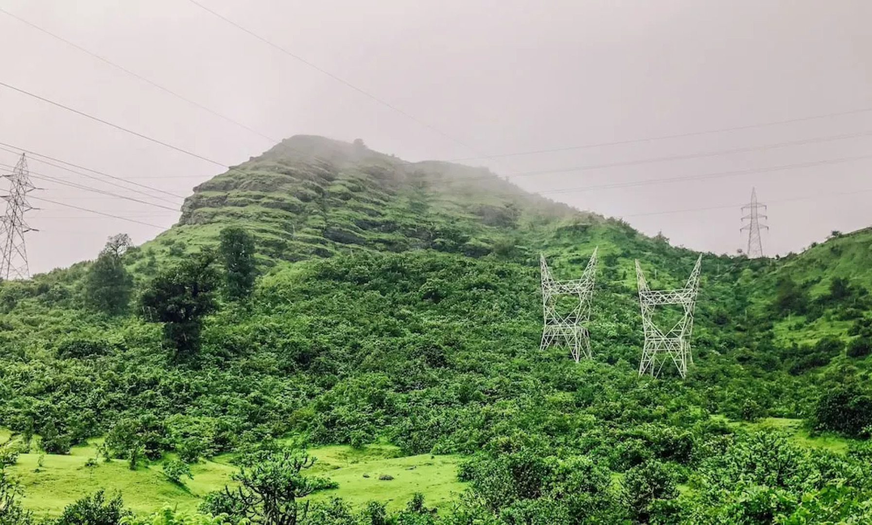 Rainforest Resort and Spa, Igatpuri -Nature's Luxury Awaits