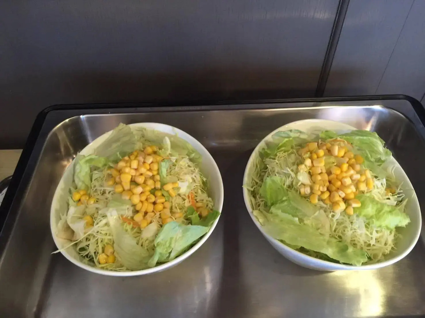 Rodisson Hotel Chubu international Airport Paladia